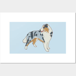 australian shepherd art Posters and Art